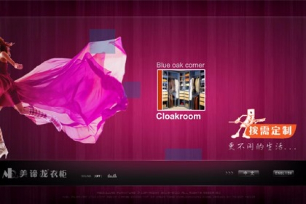 美諦龍定制衣柜