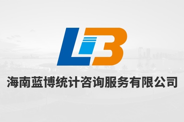 海南省藍博統(tǒng)計咨詢服務(wù)有限公司