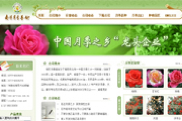 南陽(yáng)月季基地